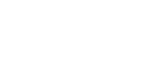 Borderflex Freight & Logistics Limited - Expert Customs Clearing Services in Kenya